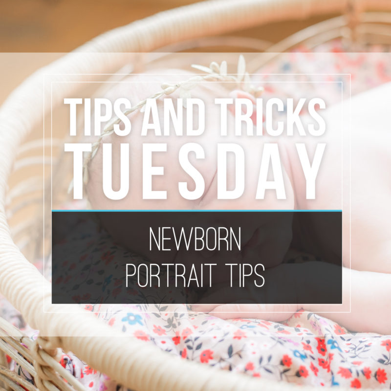 Tips & Tricks Tuesday  |  Newborn Portraits