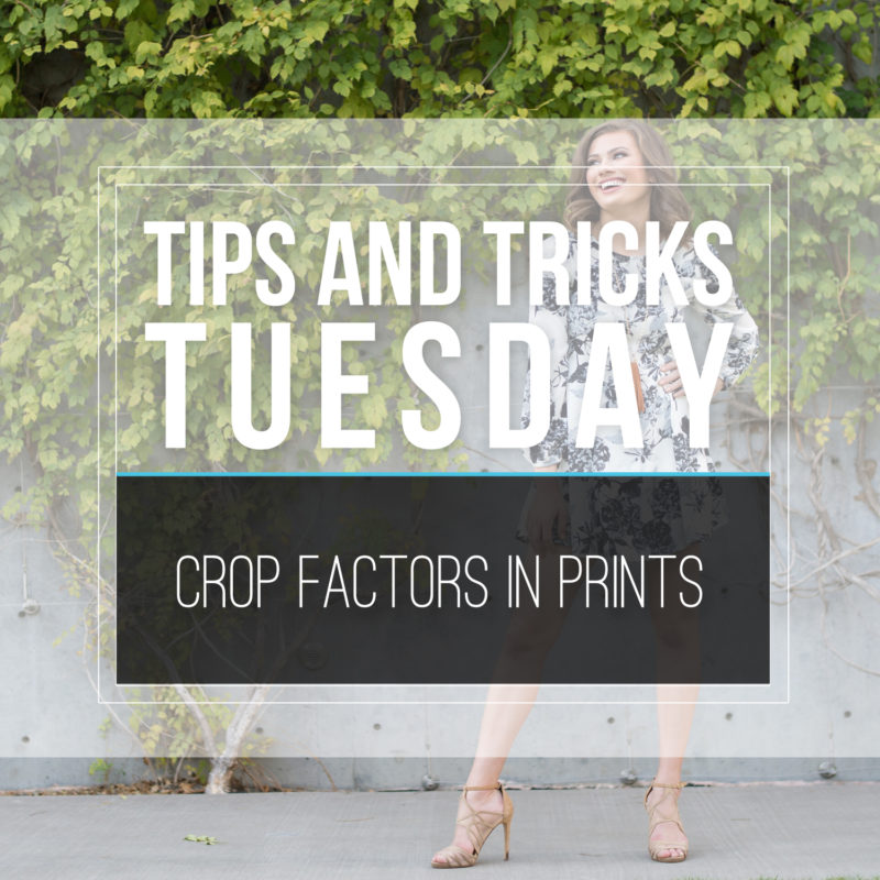 Tips & Tricks Tuesday  |  Crop Factors in Prints